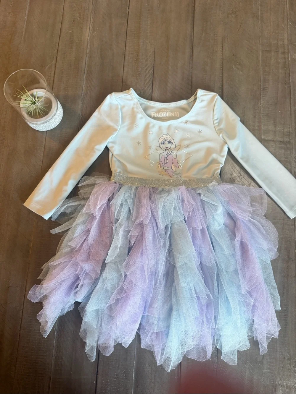 Disney Elsa Light Blue and Lavender Tulle Dress